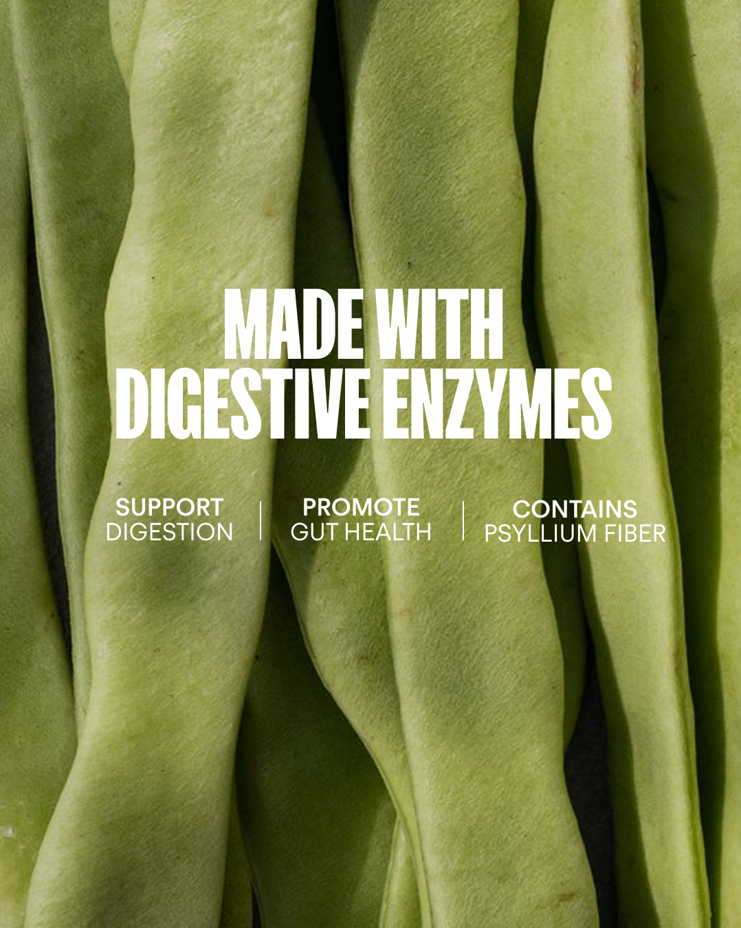 PROTEÍNA VEGETAL