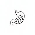 Digestive Enzymes & Prebiotic Fiber